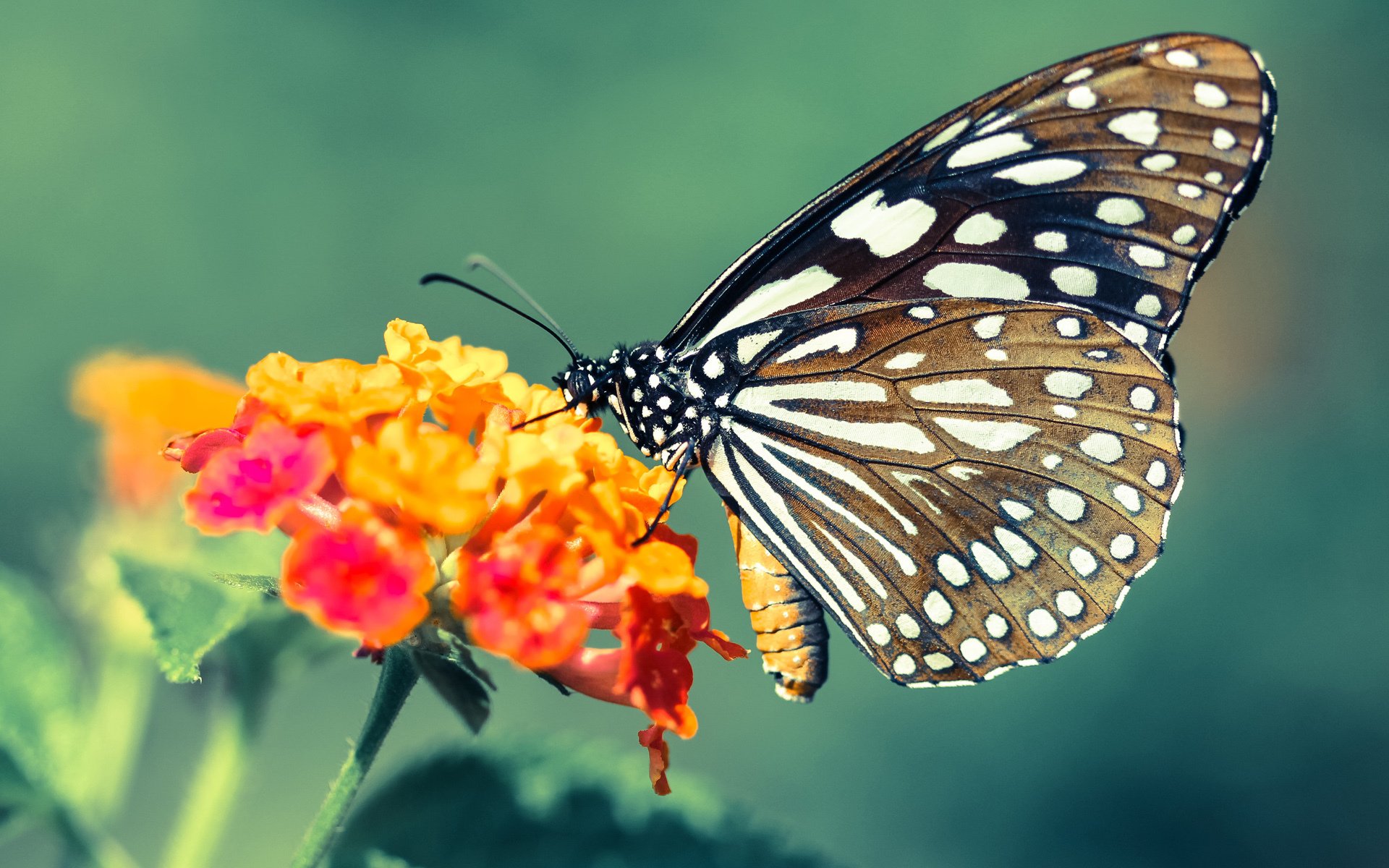 新赛季赛程公布焦点对决引人期待