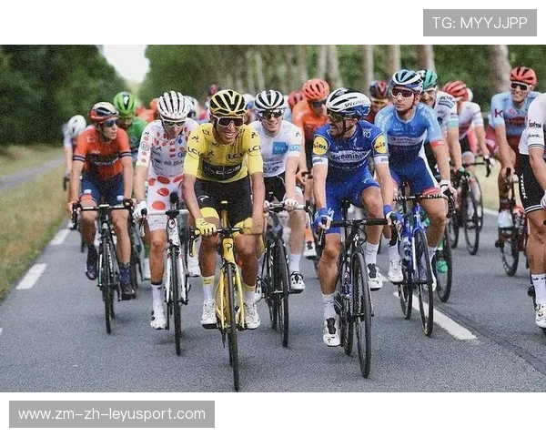 欧洲自行车赛环法第十一赛段，精彩冲刺不断，欧洲自行车品牌排行