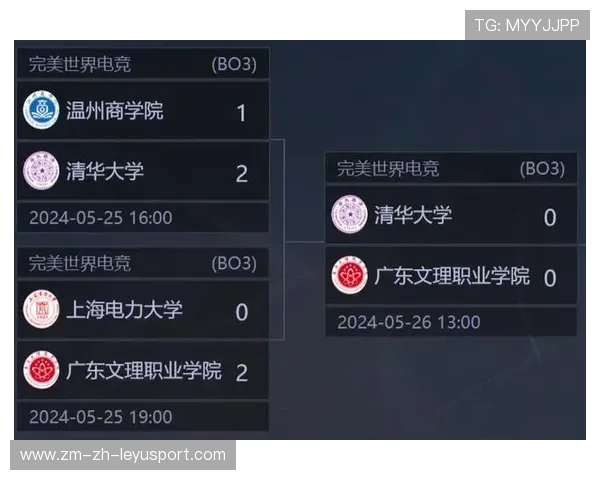 电竞游戏入选大学课程,清华设立专项研究组,清华开设电竞 电竞游戏入选大学课程,清华设立专项研究组,清华开设电竞