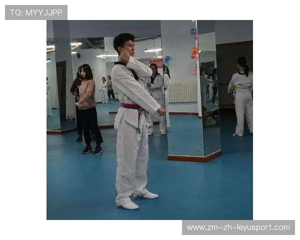 跆拳道学院推动青少年训练营的课程标准化与考核，跆拳道课程实施方案
